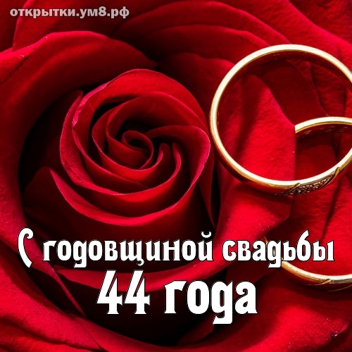 Годовщины свадеб 44 года