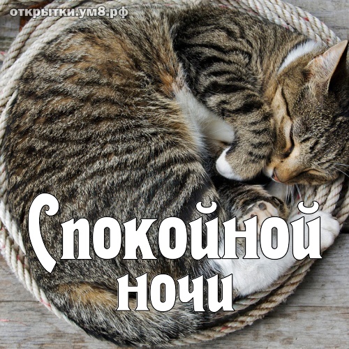 Картинки-спокойной ночи на телефон