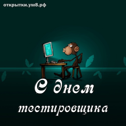 День тестировщика! Божественная и прелестная картинка на день тестировщика! Картинка для вк, ватсап, одноклассники!